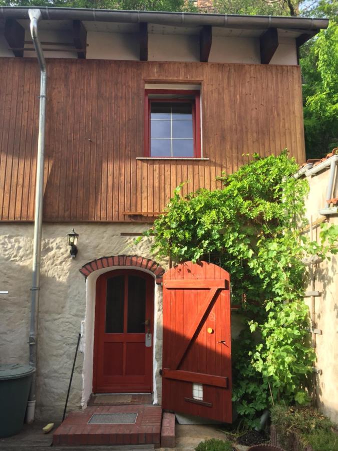 Radler Pension Wettin Экстерьер фото